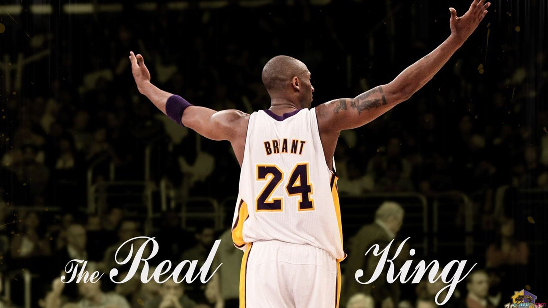 全新电竞联赛即将启动,奖金丰厚等你来战!,电竞联赛赛制