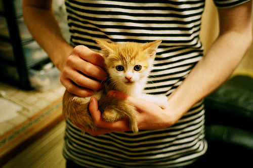 九游app官网下载-_高空极限跳伞表演：从云端俯瞰人生_，3.9万米高空极限跳伞视频