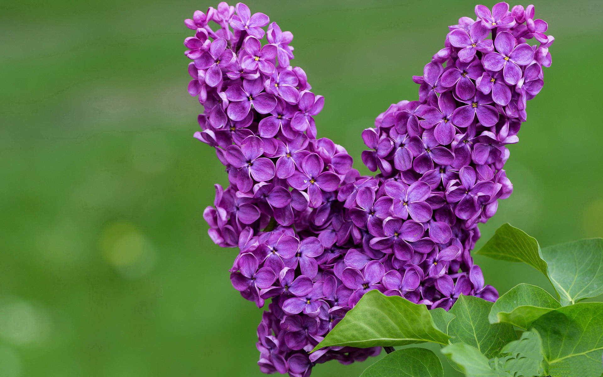 九游下载中心-《泰晤士报》：巴西女足在奥运会小组赛中与美国队激战，巴西女足奥运名单