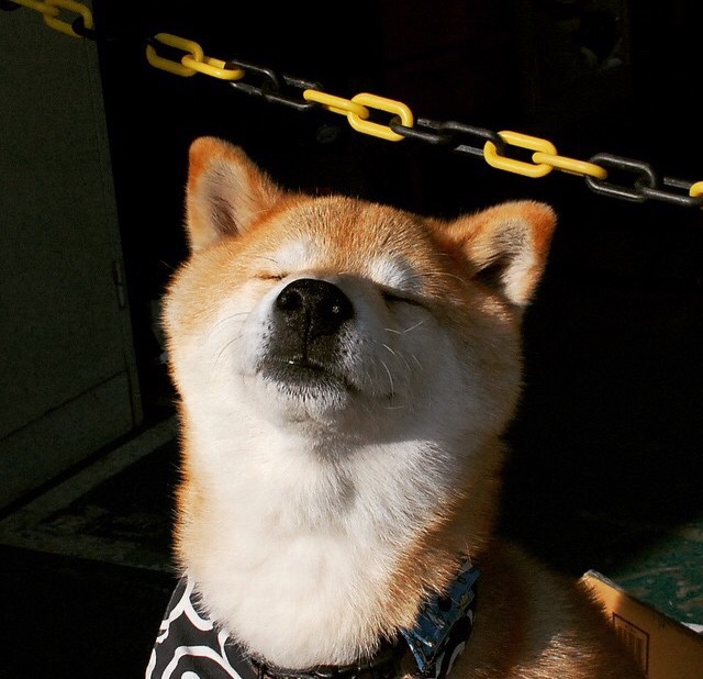 九游游戏中心官网-三分雨：北京队三分球投中40%以上，火力全开！，cba三分雨