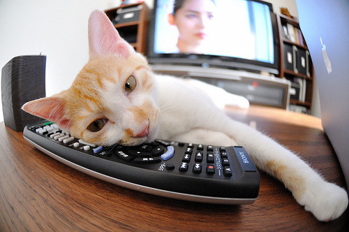 九游(jiuyou)官方网站-乌拉圭队在巴黎奥运会比赛中多次通过团队配合得分，奥运会乌拉圭第几个出场