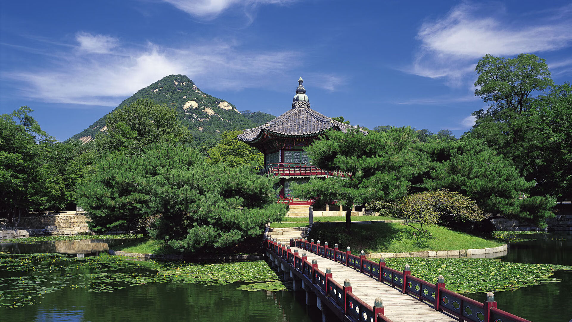 九游9游-乡村传统划龙舟赛，传承古老的水上文化，划龙舟大赛