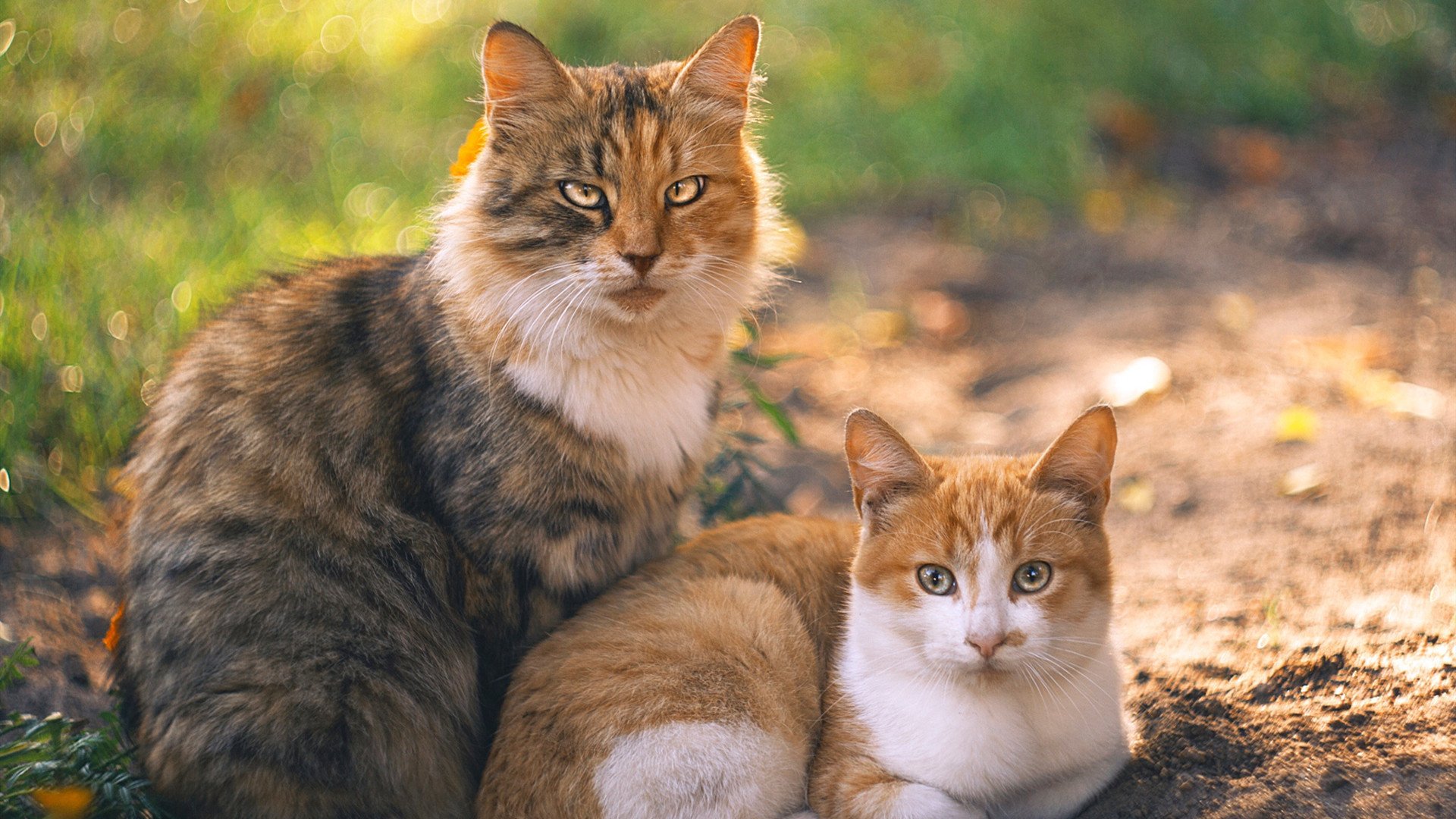 九游网-从业者访谈：台球运动发展的挑战与机遇，台球发展现状