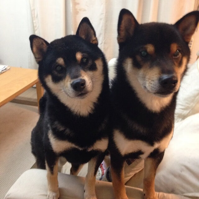 九游网游官网-全国青少年“绿色行动”篮球公益赛在青海拉开帷幕，倡导环保运动