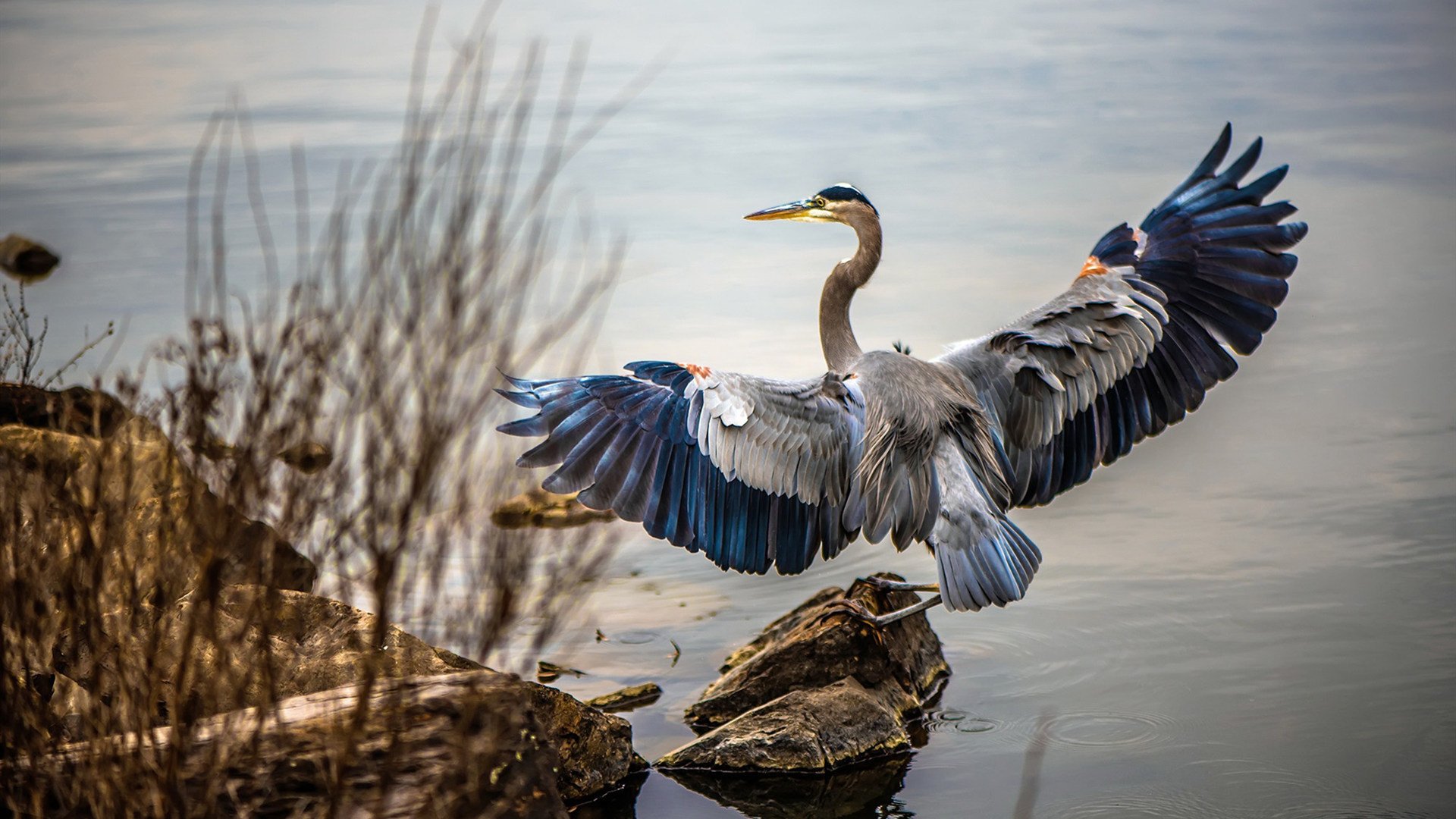 史上“突破”得分纪录，谁能称霸一方？，突破 top